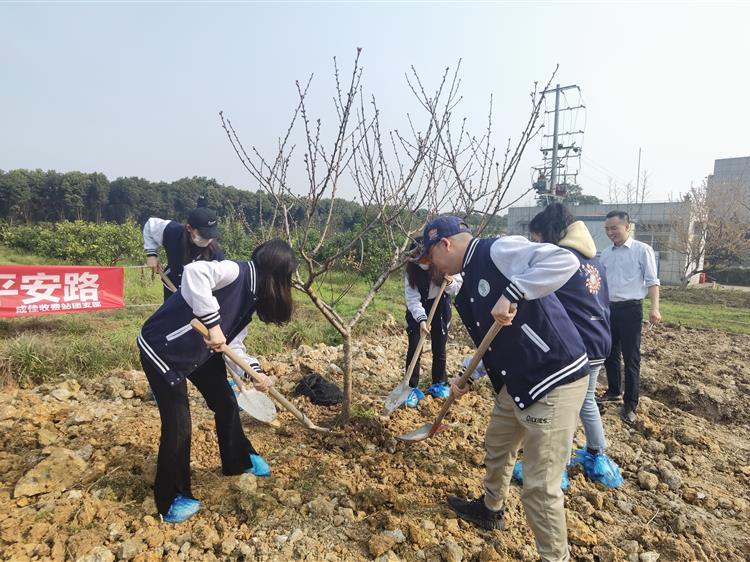 4成雅分公司团委组织开展“种下一棵树，守护平安路”主题植树活动+张芮凌_750-562