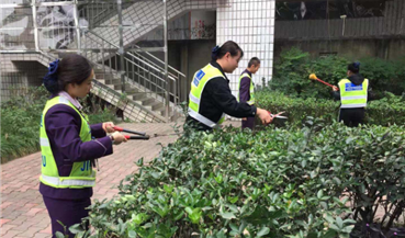绕城站进行绿化修枝美化站区环境