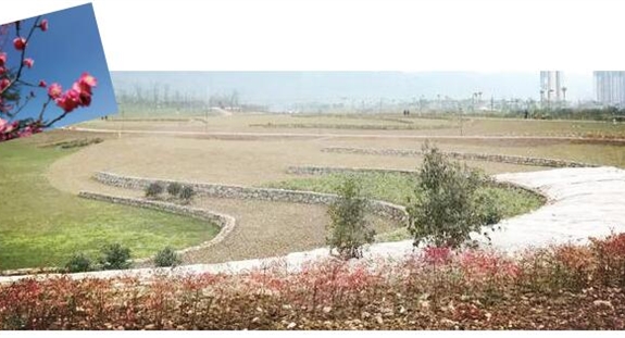 送给春天的一首诗