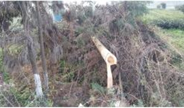 斗智斗勇破获路产损坏案件