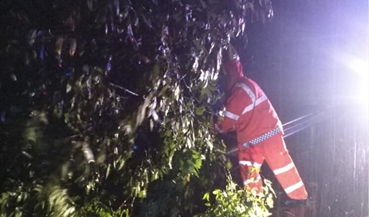 雨夜及时清除隐患 保障道路安全畅通
