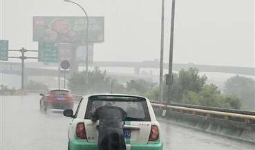 雨中的温暖一幕