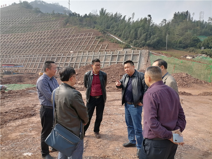 11.18+成雅分公司+成渝公司副总经理彭驰调研成雅高速雅安东站改迁工程施工进程