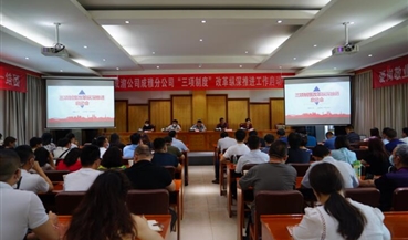 成雅分公司组织召开“三项制度”改革纵深推进工作启动会