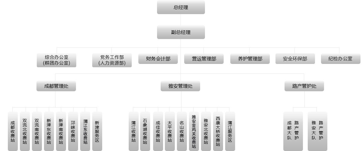 组织架构