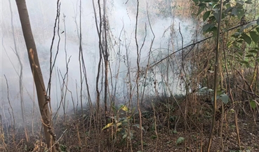 及时扑灭边坡火灾 确保高速安全畅通
